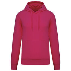 Sweat-shirt &agrave; capuche K4027 POITIERS