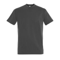 T-Shirt Homme Imperial POITIERS